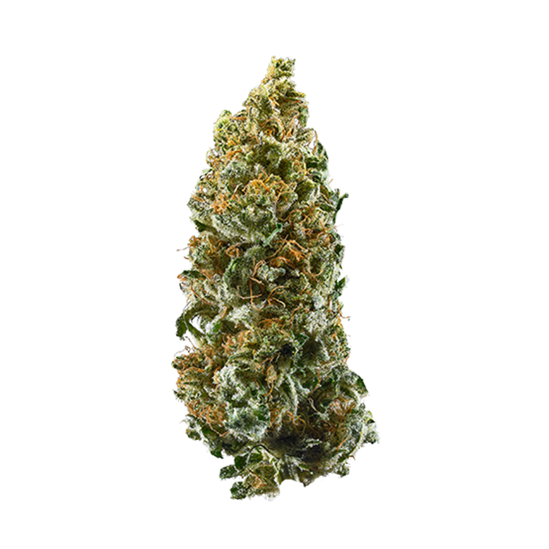 Haoma Mist Strain Haoma Mist Strain