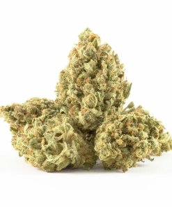 Haoma Mist Strain