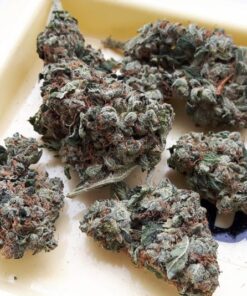 Holy Grail OG Strain