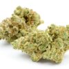 Jungle Cake Strain