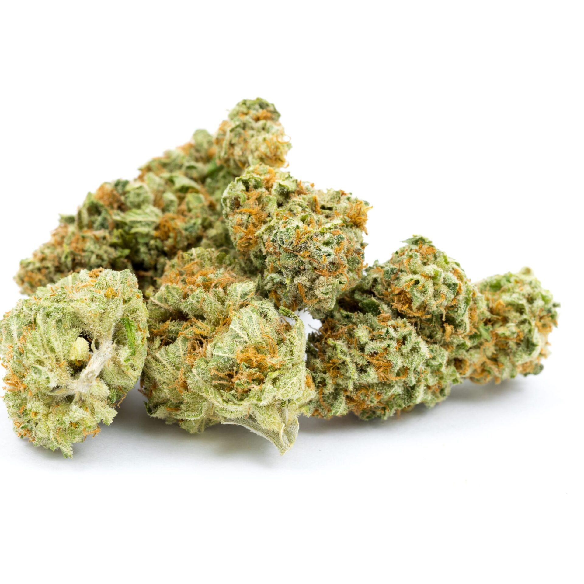 Lava Cake Strain Lava Cake Strain