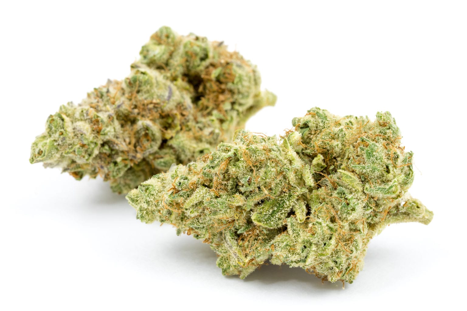 Lava Cake Strain Lava Cake Strain
