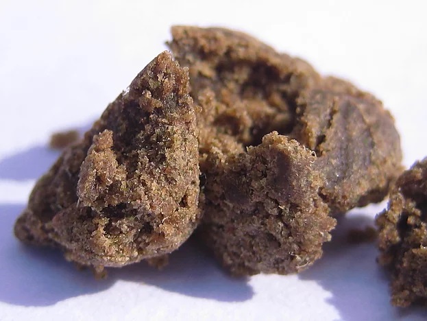 Malana Hash Cream Malana Hash Cream