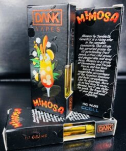 Mimosa