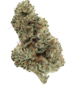 Motorbreath Strain