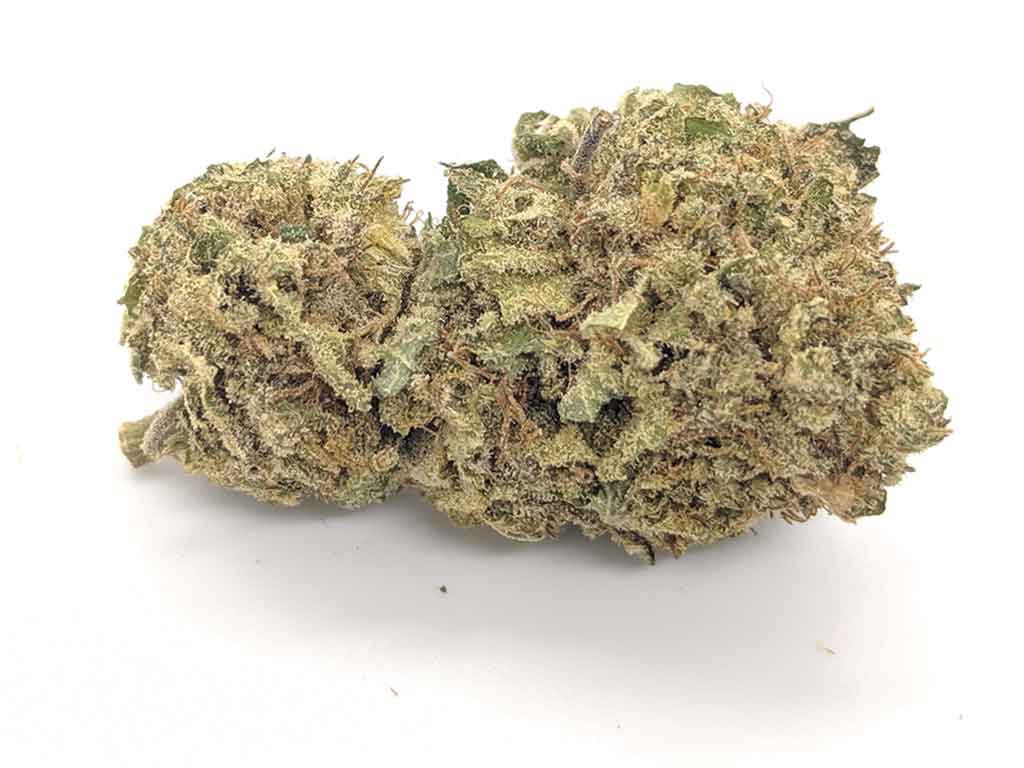OG Kush Strain OG Kush Strain