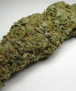 Hawaiian Cookies