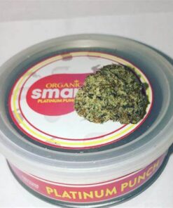 Platinum Punch Smart Buds