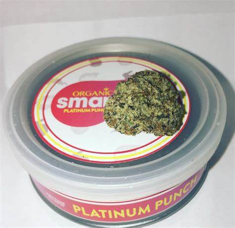 Platinum Punch Smart Buds Platinum Punch Smart Buds