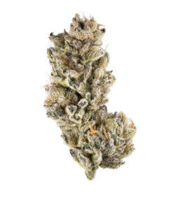 Purple Punch