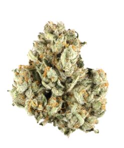Cherry Wine Strain