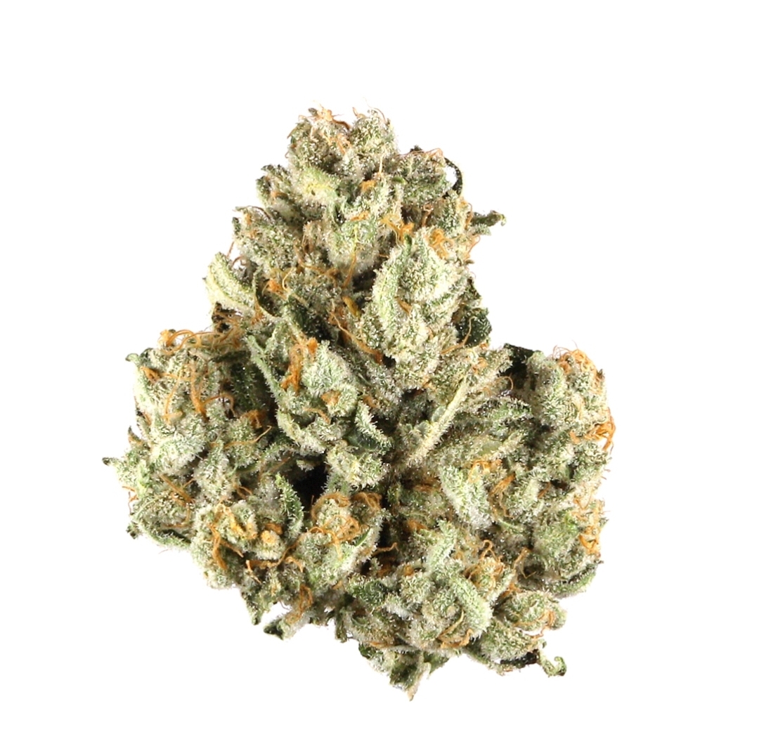 Cherry Wine Strain Cherry Wine Strain