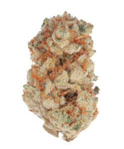 Slurricane Strain