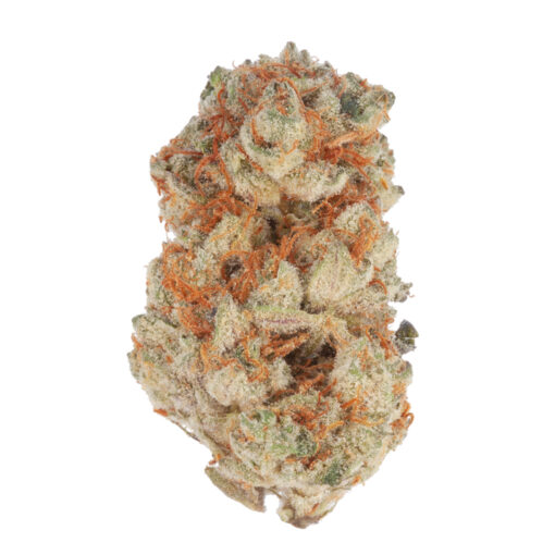 Slurricane Strain