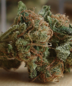 Sour Diesel Strain
