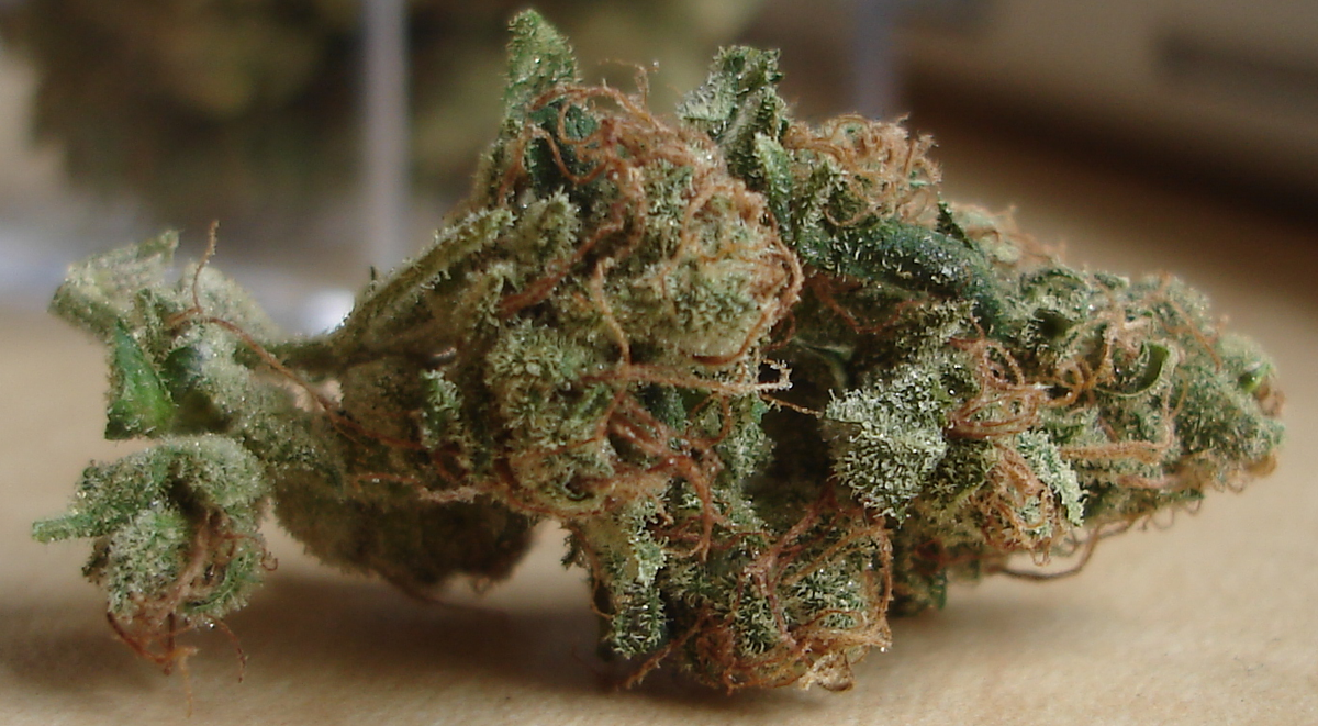 Sour Diesel Strain Sour Diesel Strain