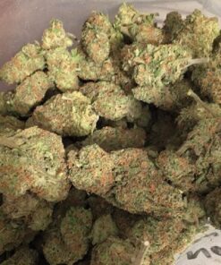 OG Kush Strain