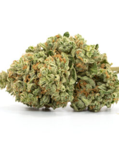 Violator Kush