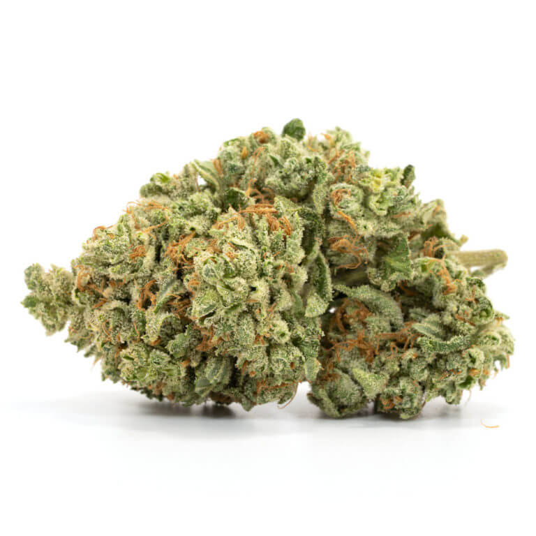 Violator Kush Violator Kush