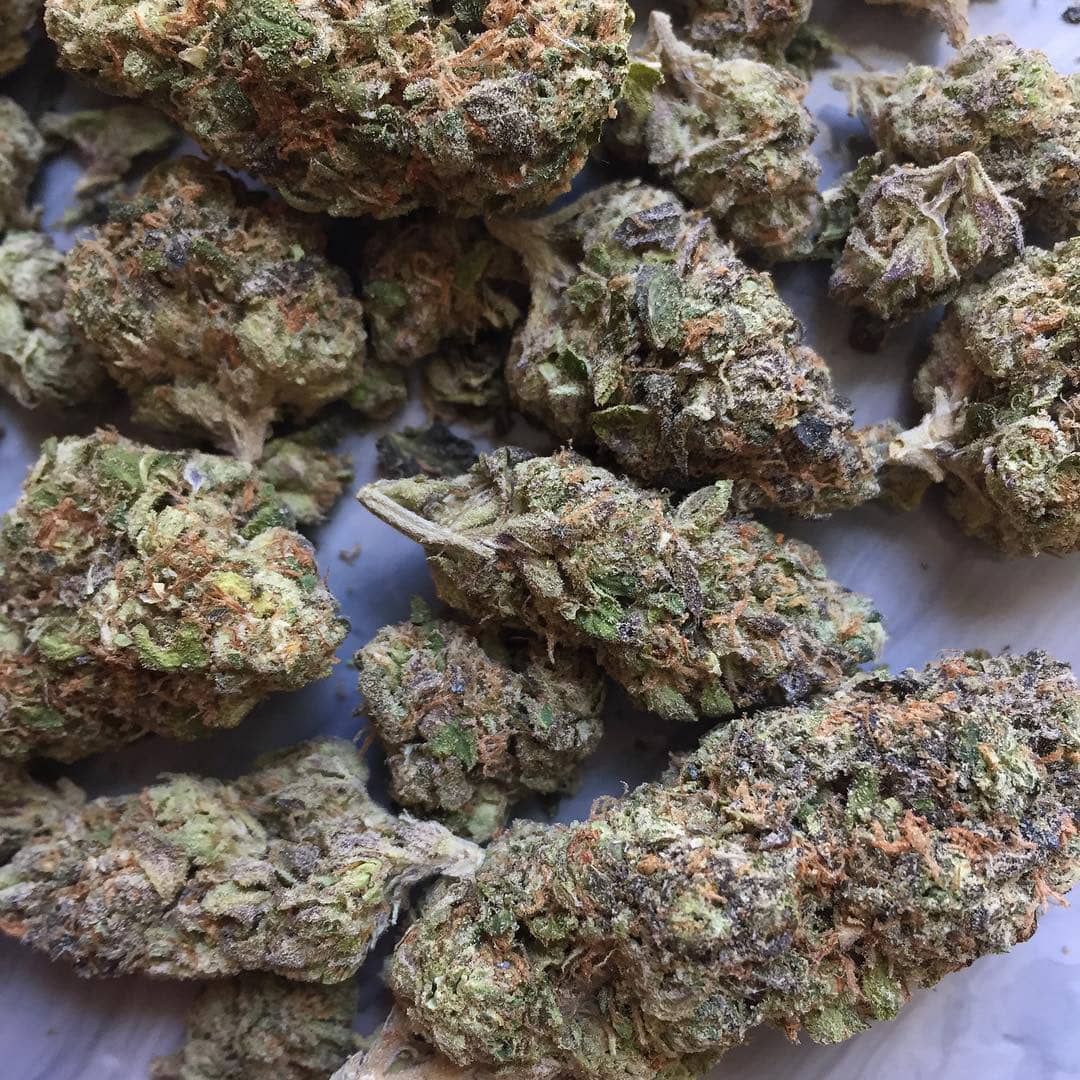 Gelato Strain Gelato Strain
