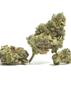 White Knuckles Strain