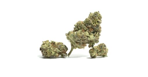 White Knuckles Strain