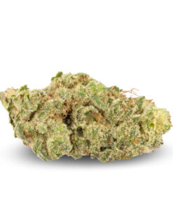 White Knuckles Strain