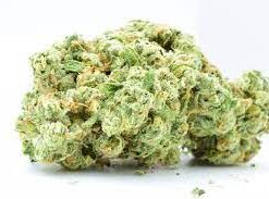 White Widow Strain