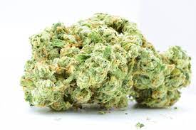 White Widow Strain White Widow Strain