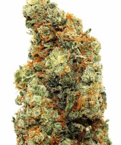 AK-47 Strain