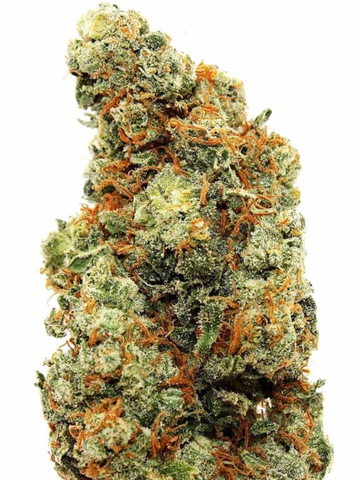 AK-47 Strain