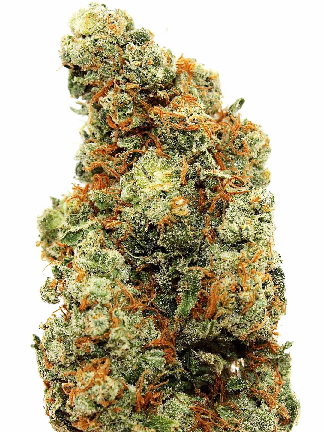 AK-47 Strain AK-47 Strain
