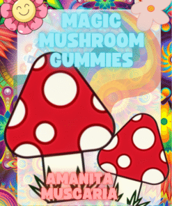 Paddo Gummie – Amanita Muscaria – Muscimol