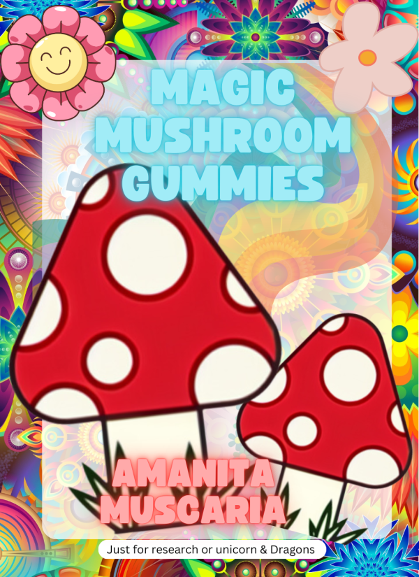 Paddo Gummie – Amanita Muscaria – Muscimol Paddo Gummie – Amanita Muscaria – Muscimol