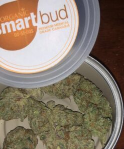 Smart Buds