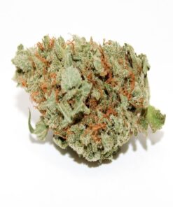 Blue Dream Strain