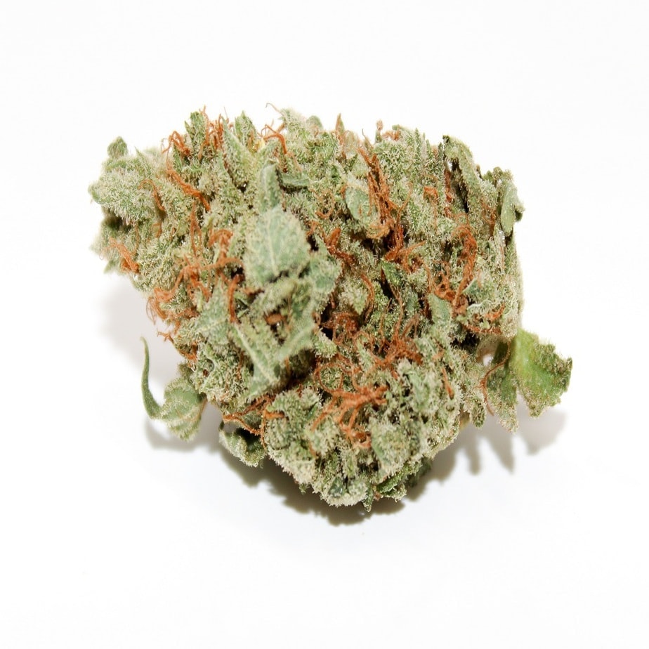 Blue Dream Strain Blue Dream Strain