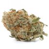 Blue Cheese Strain