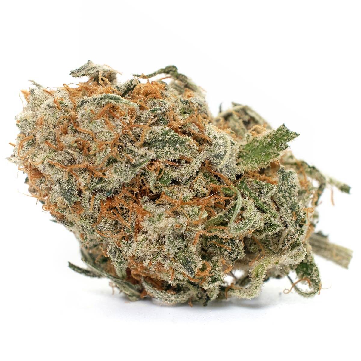 Blue Cheese Strain Blue Cheese Strain