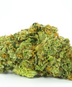 Dirty Girl Weed Strain