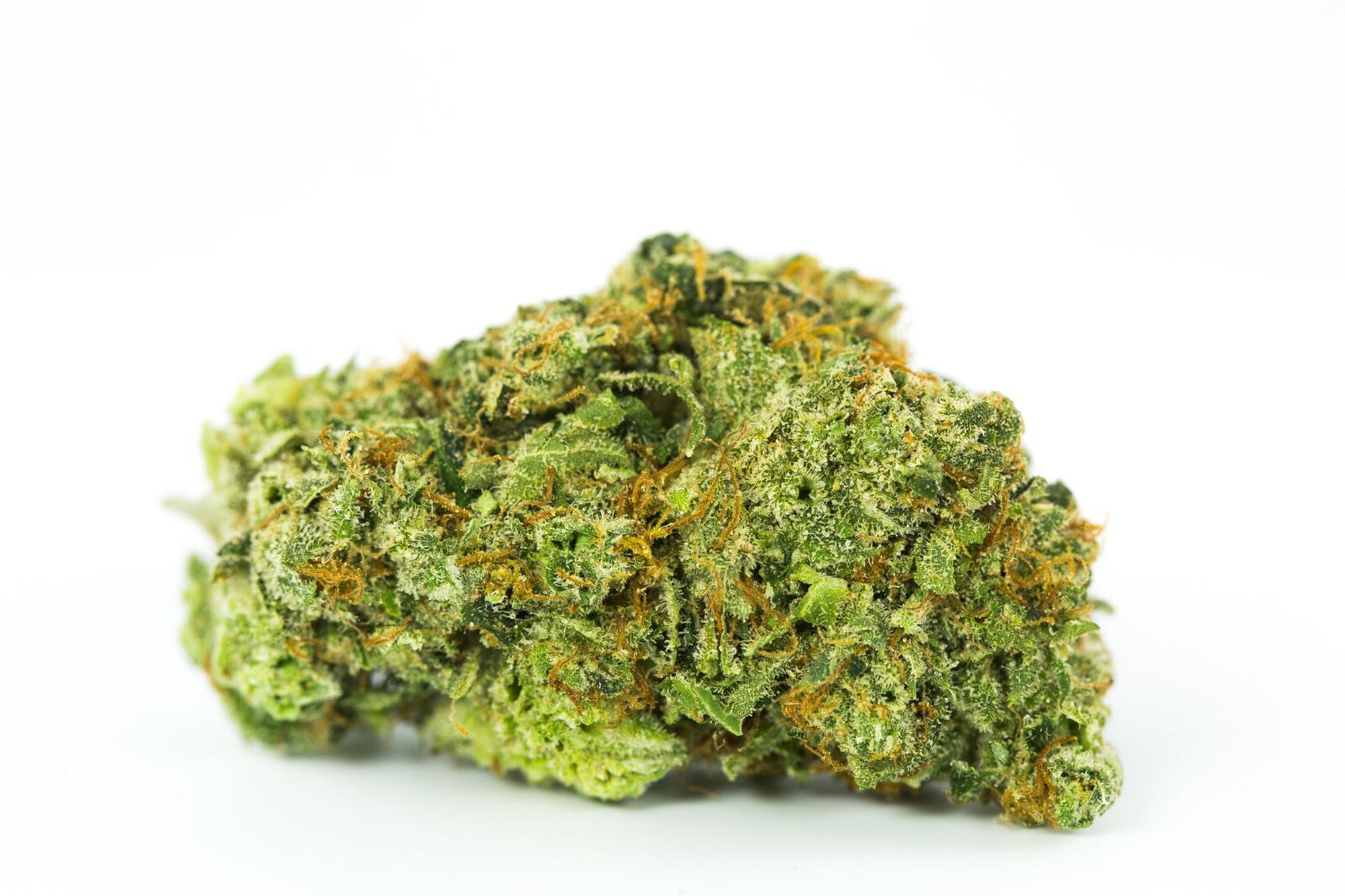 Dirty Girl Weed Strain Dirty Girl Weed Strain