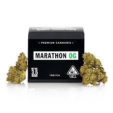 Marathon OG Strain