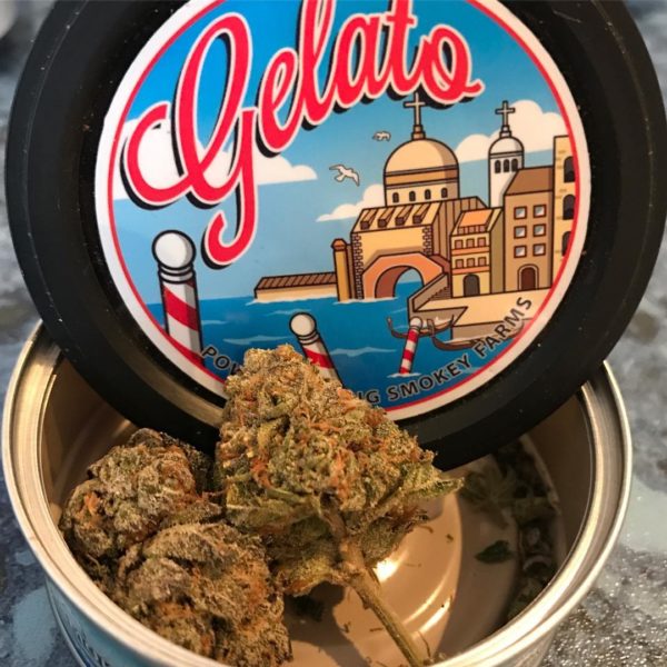 GELATO GELATO