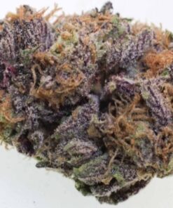 Grandaddy Purple Kush