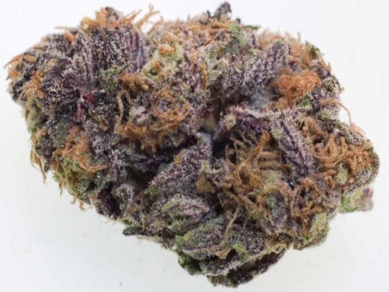Grandaddy Purple Kush Grandaddy Purple Kush
