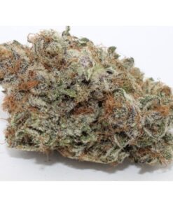 Grape God strain