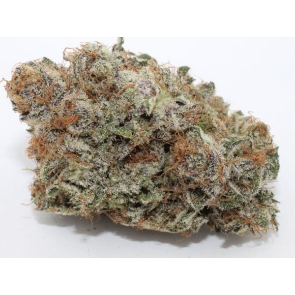 Grape God strain Grape God strain