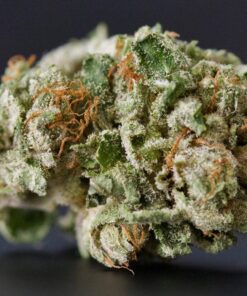 Grease Monkey Strain