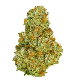 Sour Diesel Strain
