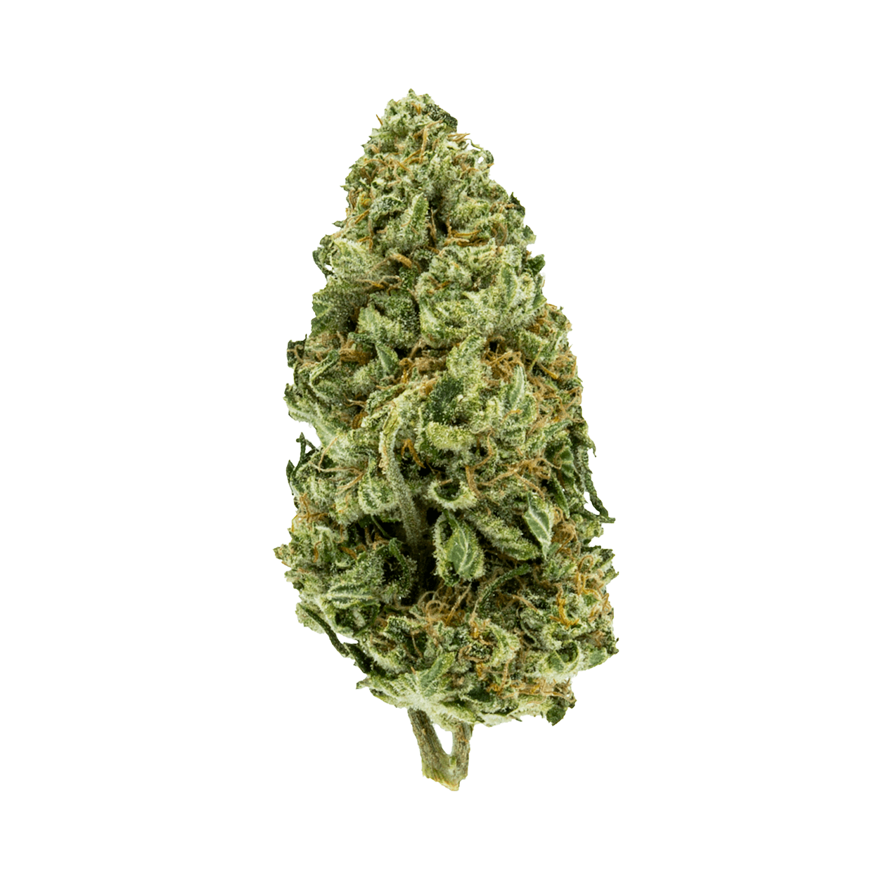 Incredible Hulk Strain Incredible Hulk Strain